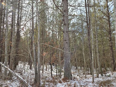 Tiny photo for 0 Cottonwood Tr, Sunbright, TN 37872 (MLS # 1329234)