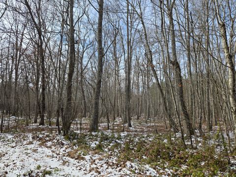 Tiny photo for 0 Cottonwood Tr, Sunbright, TN 37872 (MLS # 1329234)