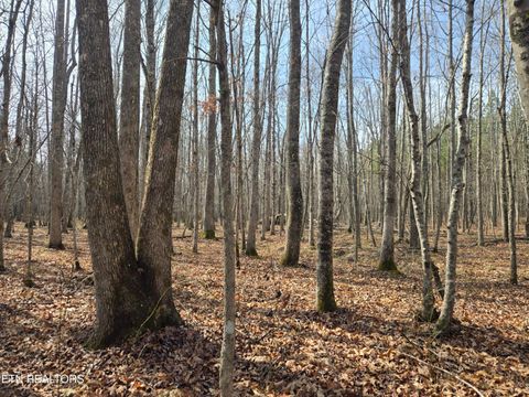Tiny photo for 0 Cottonwood Tr, Sunbright, TN 37872 (MLS # 1329234)