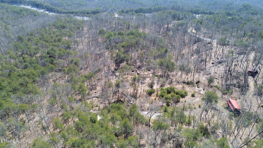 Photo of 342 Wallen Lane, Thorn Hill, TN 37881 (MLS # 1328828)