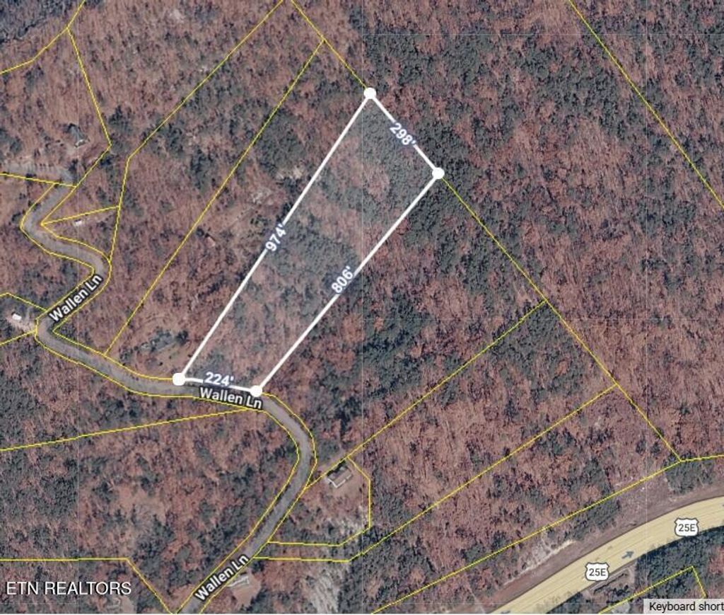 Photo of 342 Wallen Lane, Thorn Hill, TN 37881 (MLS # 1328828)