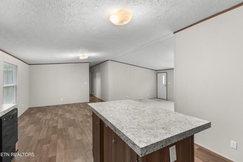 Tiny photo for 308 Mill Rd, Wartburg, TN 37887 (MLS # 1316710)