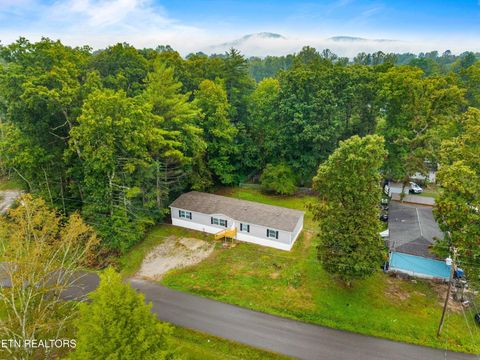 Tiny photo for 308 Mill Rd, Wartburg, TN 37887 (MLS # 1316710)