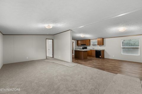 Tiny photo for 308 Mill Rd, Wartburg, TN 37887 (MLS # 1316710)