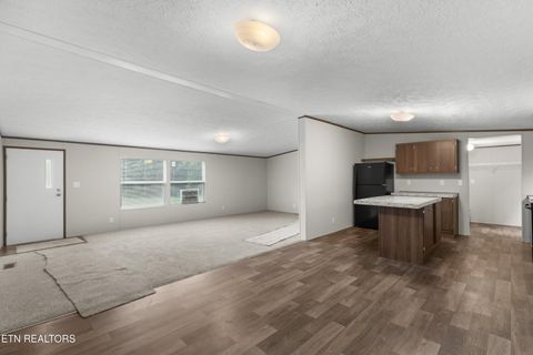 Tiny photo for 308 Mill Rd, Wartburg, TN 37887 (MLS # 1316710)