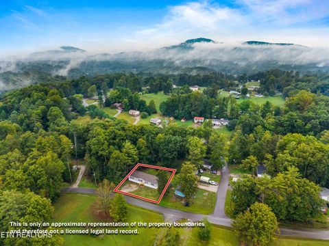 Tiny photo for 308 Mill Rd, Wartburg, TN 37887 (MLS # 1316710)
