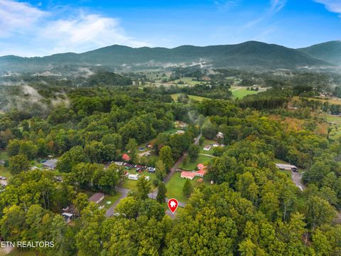 Tiny photo for 308 Mill Rd, Wartburg, TN 37887 (MLS # 1316710)