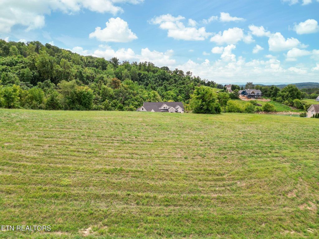 Photo of 514 Brittney Lane, Sharps Chapel, TN 37866 (MLS # 1313666)