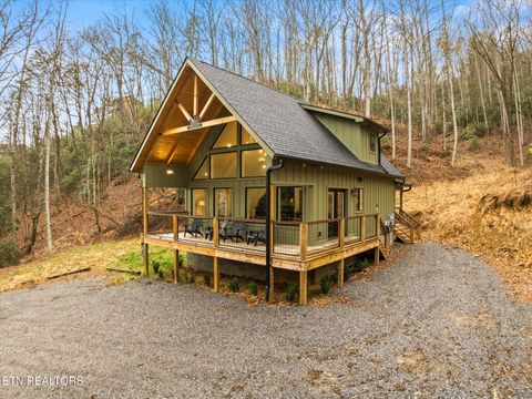 811 Cartertown Rd, Gatlinburg, TN 37738 - MLS#: 1291668