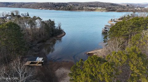 Tiny photo for 114 Happy Ending Lane, Kingston, TN 37763 (MLS # 1326860)