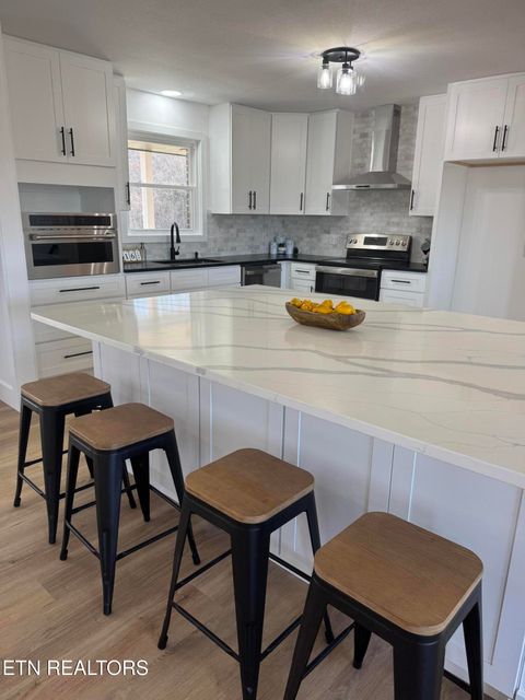 Tiny photo for 114 Happy Ending Lane, Kingston, TN 37763 (MLS # 1326860)