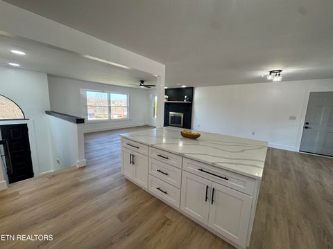 Tiny photo for 114 Happy Ending Lane, Kingston, TN 37763 (MLS # 1326860)