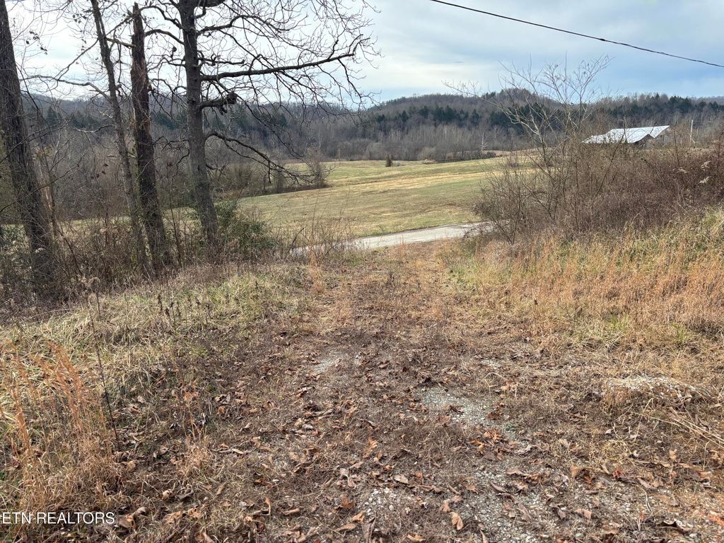 Photo of 361 Newport Trail Trl, Helenwood, TN 37755 (MLS # 1324240)
