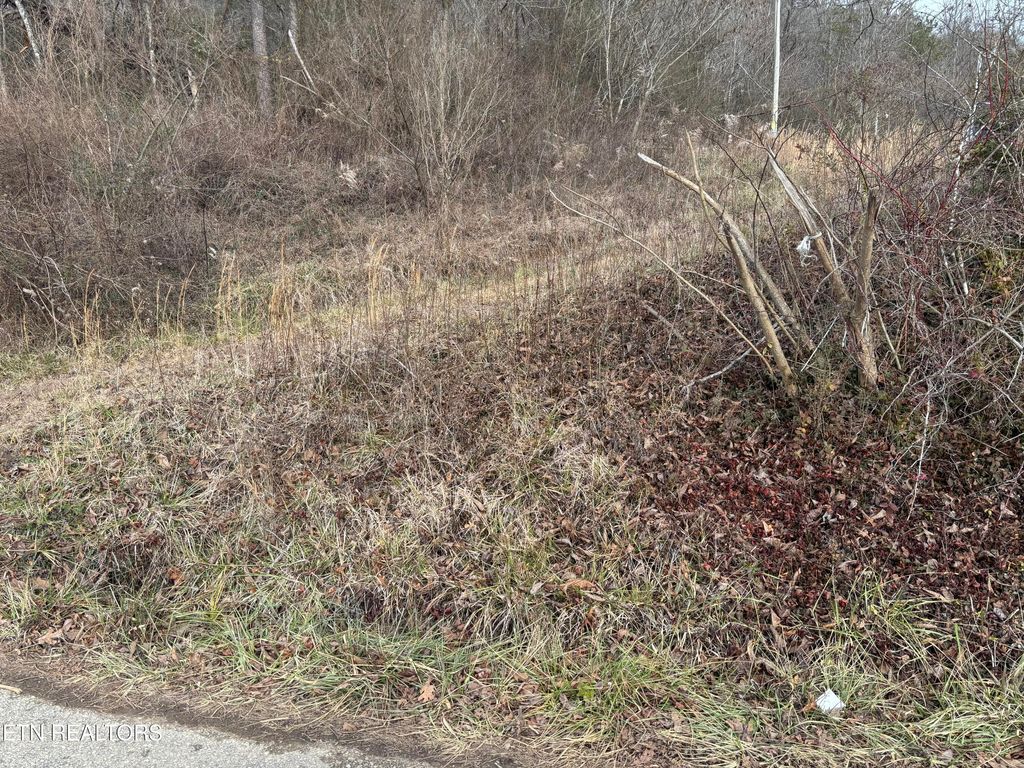 Photo of 361 Newport Trail Trl, Helenwood, TN 37755 (MLS # 1324240)