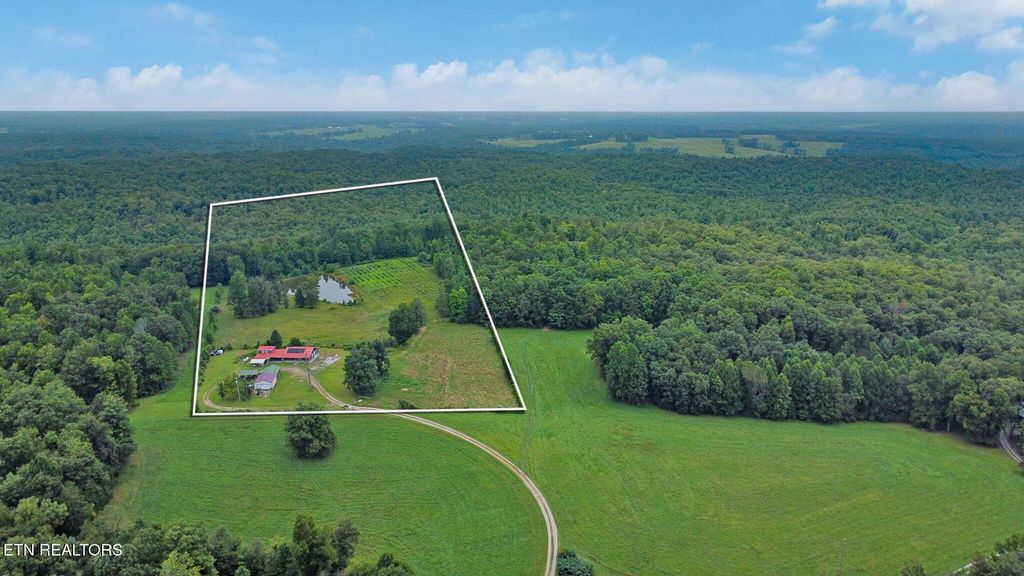 Photo of 252 Carlie Lane, Deer Lodge, TN 37726 (MLS # 1313191)