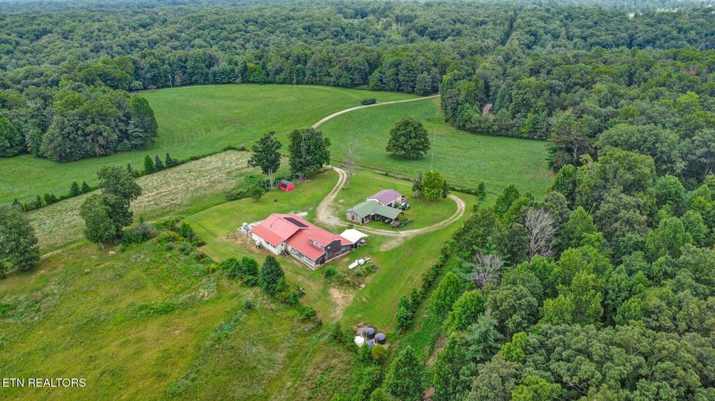 Photo of 252 Carlie Lane, Deer Lodge, TN 37726 (MLS # 1313191)