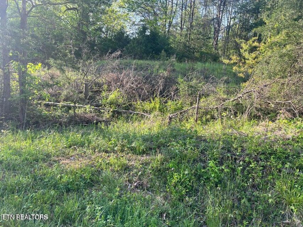 Photo of Vardy Blackwater Rd, Sneedville, TN 37869 (MLS # 1322218)