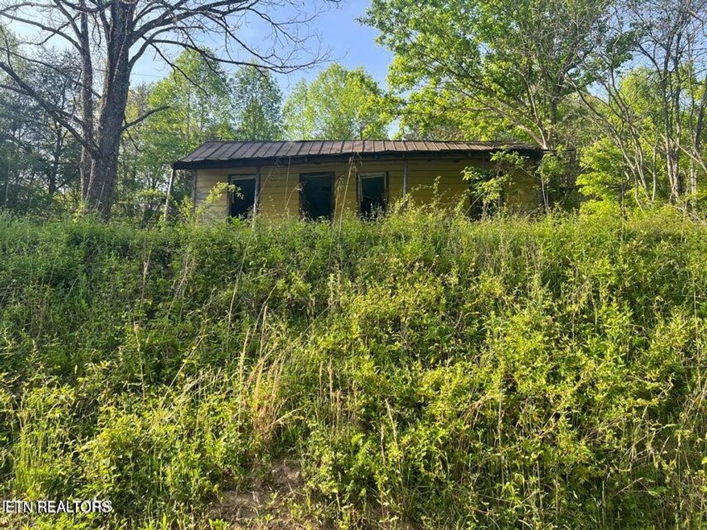 Photo of Vardy Blackwater Rd, Sneedville, TN 37869 (MLS # 1322218)