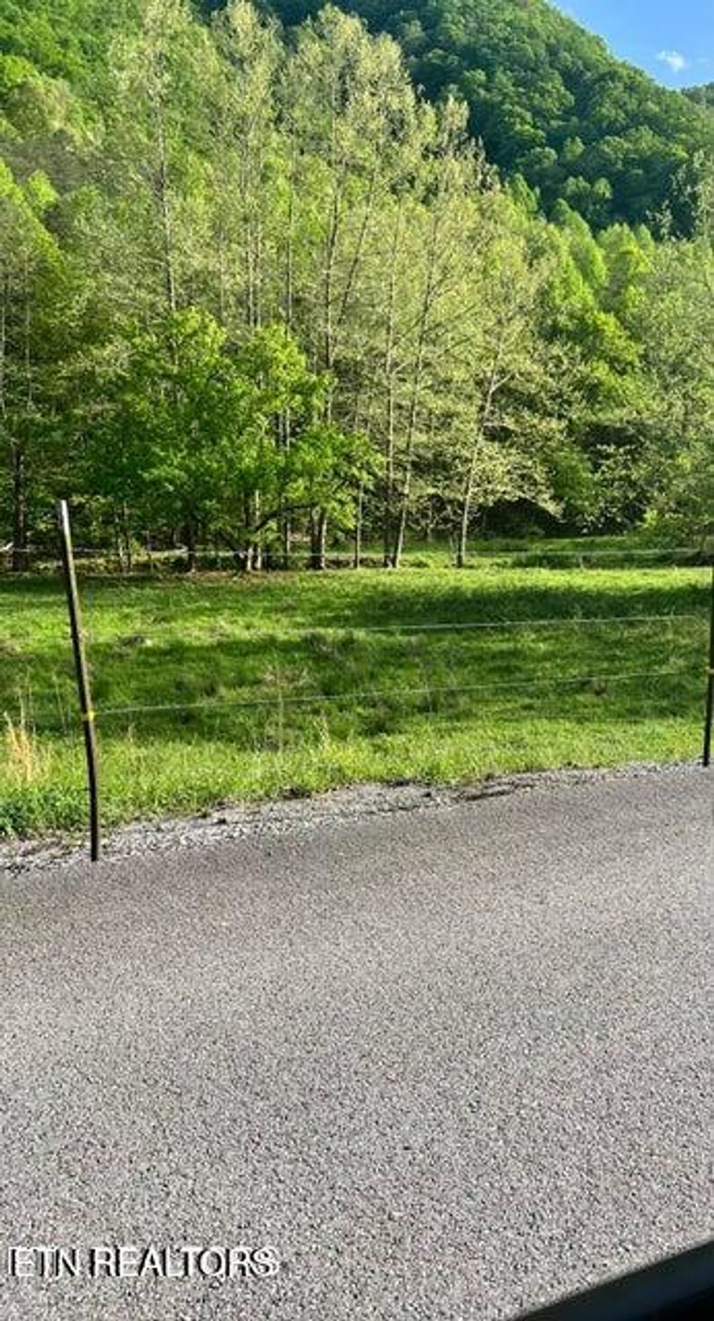 Photo of Vardy Blackwater Rd, Sneedville, TN 37869 (MLS # 1322218)
