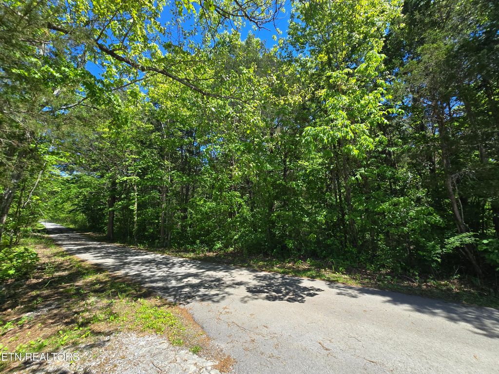 Photo of 0 Hershell Drive, Pennington Gap, VA 24277 (MLS # 1340247)