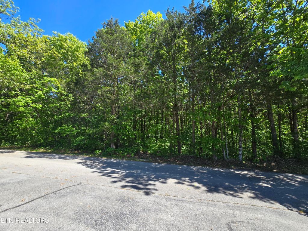 Photo of 0 Hershell Drive, Pennington Gap, VA 24277 (MLS # 1340247)