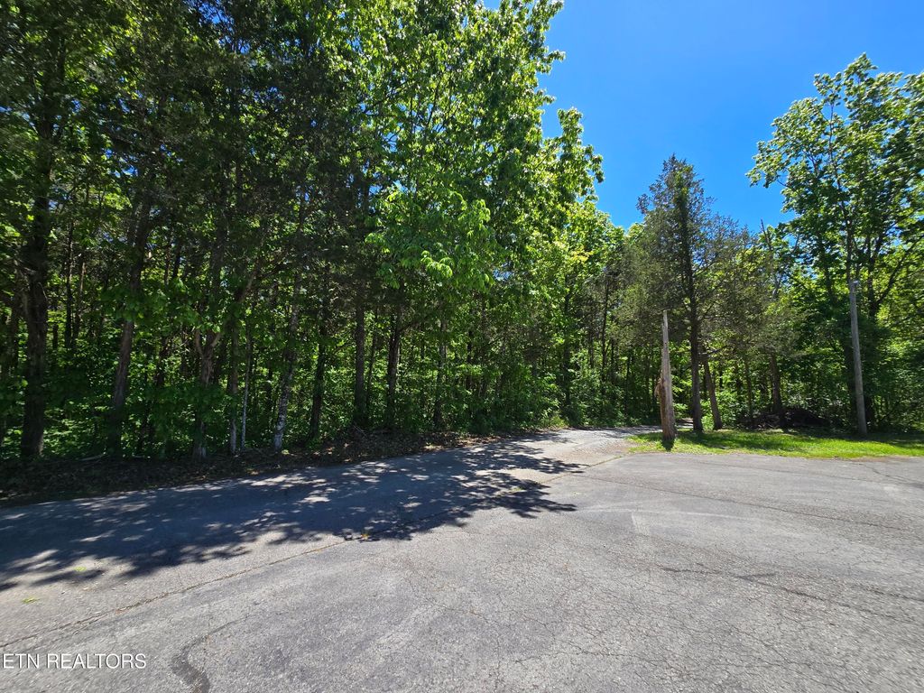 Photo of 0 Hershell Drive, Pennington Gap, VA 24277 (MLS # 1340247)