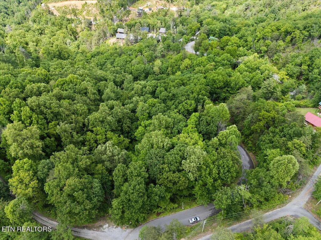 Photo of Spurling Way, Sevierville, TN 37862 (MLS # 1301267)