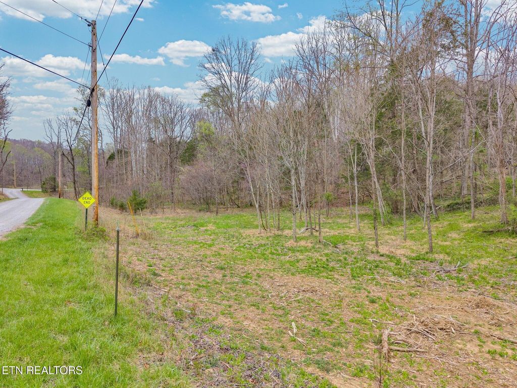 Photo of 612 Cave Valley Rd, Byrdstown, TN 38549 (MLS # 1334876)
