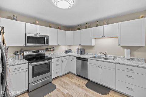 Tiny photo for 109 Jolly Lane, Jefferson City, TN 37760 (MLS # 1327118)