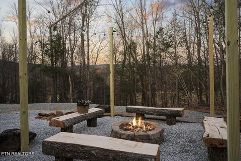 Tiny photo for 225 Maranatha Way, Cosby, TN 37722 (MLS # 1314161)