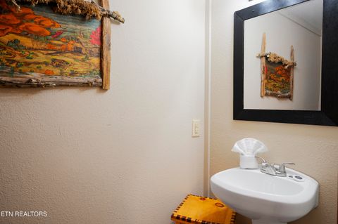 Tiny photo for 225 Maranatha Way, Cosby, TN 37722 (MLS # 1314161)