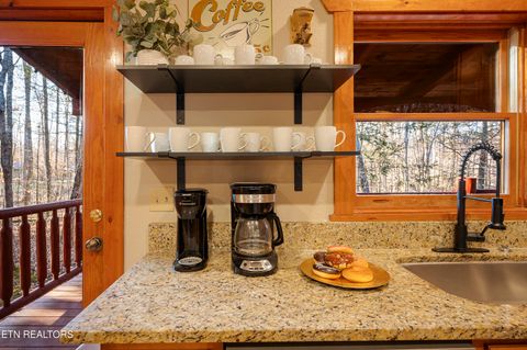 Tiny photo for 225 Maranatha Way, Cosby, TN 37722 (MLS # 1314161)