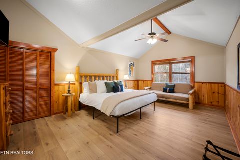 Tiny photo for 225 Maranatha Way, Cosby, TN 37722 (MLS # 1314161)
