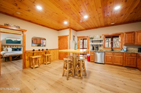 Tiny photo for 225 Maranatha Way, Cosby, TN 37722 (MLS # 1314161)
