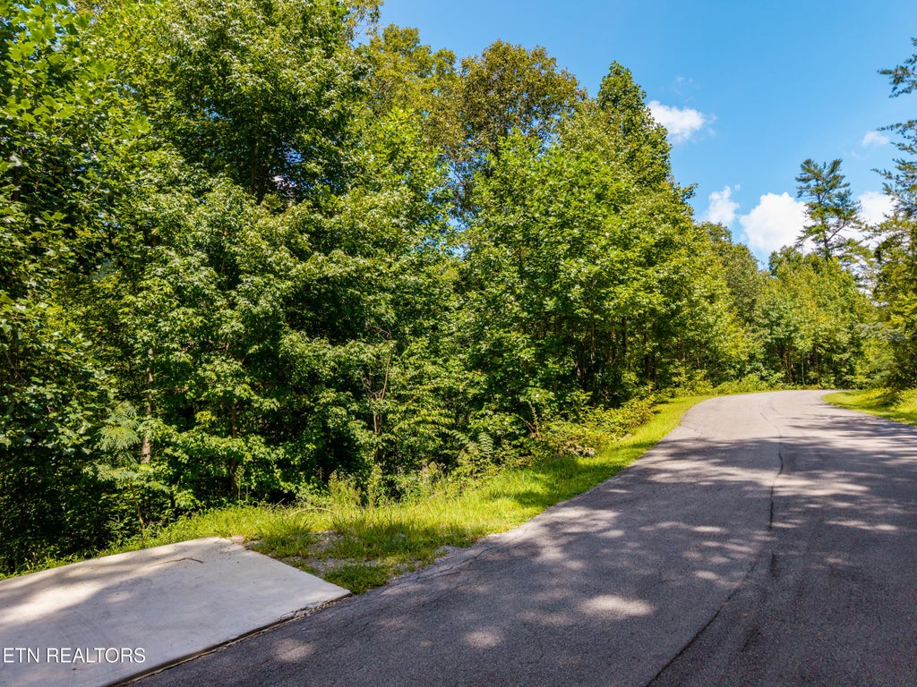 Photo of 445 Chetola Tr, Townsend, TN 37882 (MLS # 1354419)