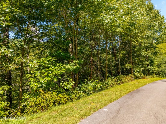 445 CHETOLA TRL, TOWNSEND, TN 37882 - Image c806397fff7cd657ca0e93dee30d3570/4085485140