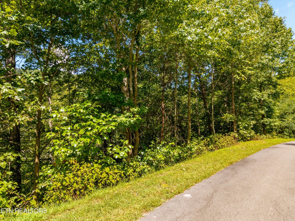 Photo of 445 Chetola Tr, Townsend, TN 37882 (MLS # 1354419)