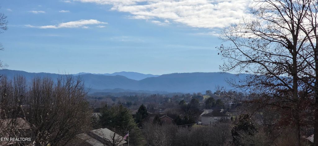 Photo of 729 Clydesdale Ave, Seymour, TN 37865 (MLS # 1324382)