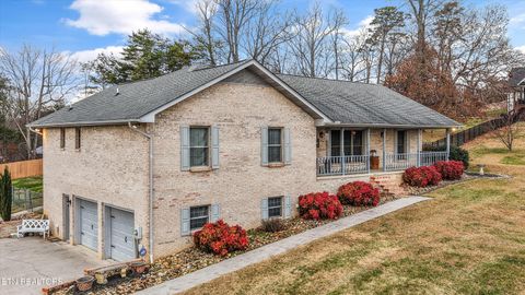 Photo of 729 Clydesdale Ave, Seymour, TN 37865 (MLS # 1324382)