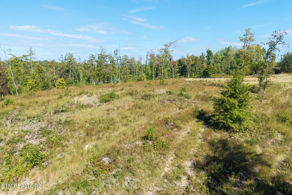 Photo of Flat Rock Rd, Jamestown, TN 38556 (MLS # 1332395)