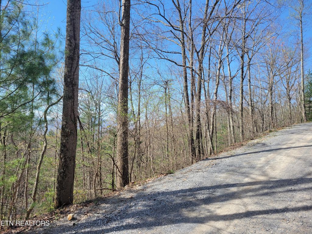 Photo of 4 Alpine Drive, Sevierville, TN 37876 (MLS # 1295927)