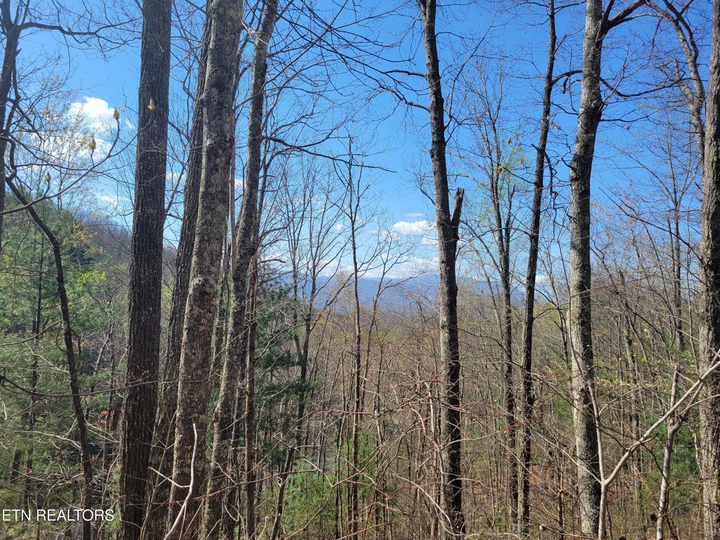 Photo of 4 Alpine Drive, Sevierville, TN 37876 (MLS # 1295927)