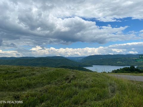 Tiny photo for 260 Marble Point Way, New Tazewell, TN 37825 (MLS # 1333246)