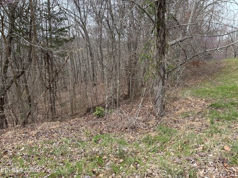 Tiny photo for 260 Marble Point Way, New Tazewell, TN 37825 (MLS # 1333246)