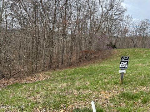 Tiny photo for 260 Marble Point Way, New Tazewell, TN 37825 (MLS # 1333246)