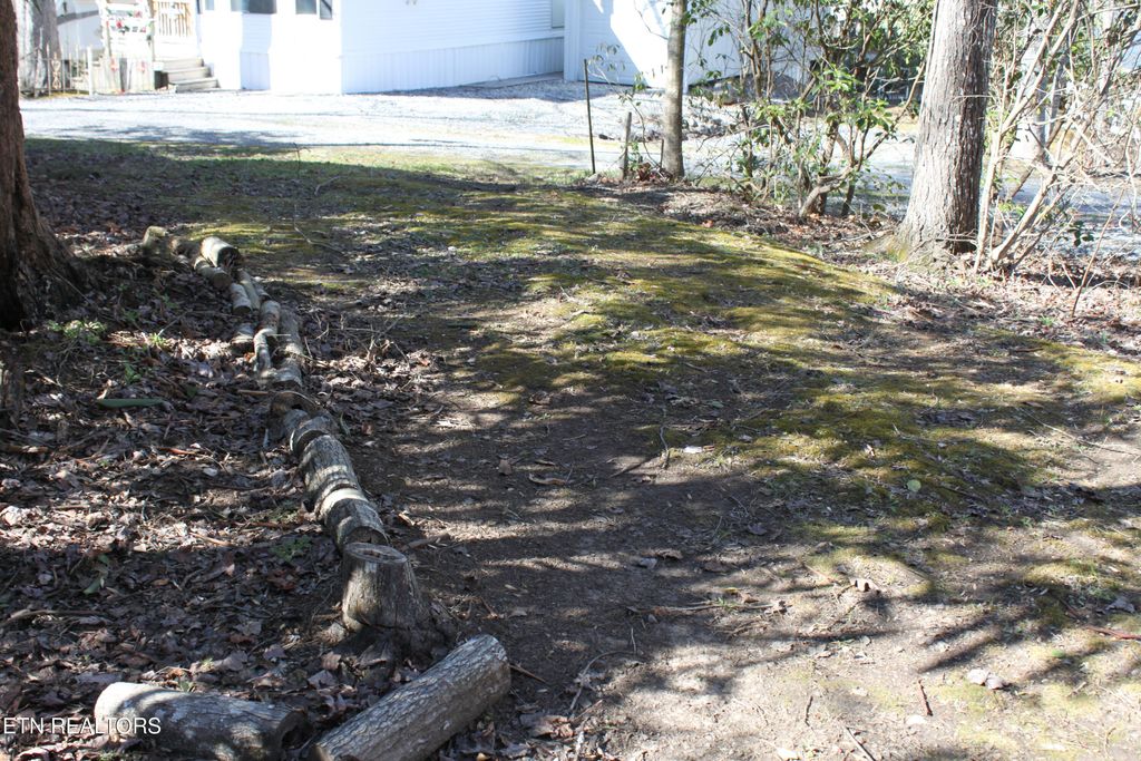 Photo of 299 Harmony Way, Cosby, TN 37722 (MLS # 1293236)