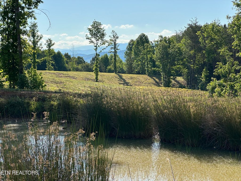 Photo of Lot 7 Curtis Rd, Tellico Plains, TN 37385 (MLS # 1339454)