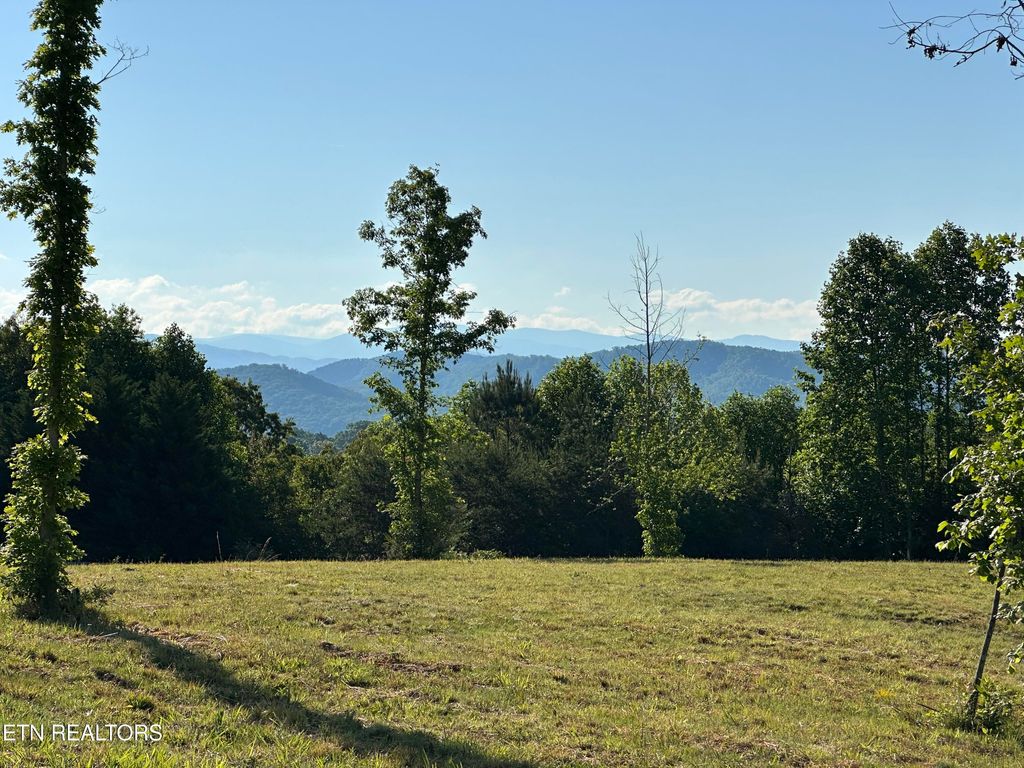 Photo of Lot 7 Curtis Rd, Tellico Plains, TN 37385 (MLS # 1339454)
