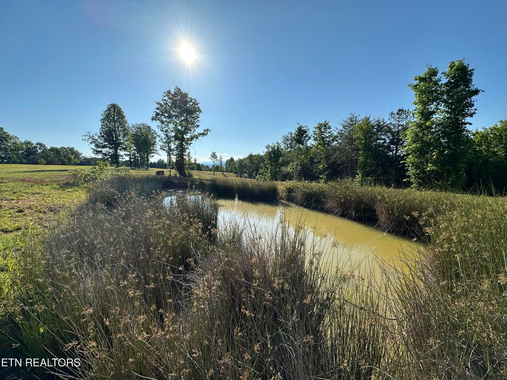 Photo of Lot 7 Curtis Rd, Tellico Plains, TN 37385 (MLS # 1339454)