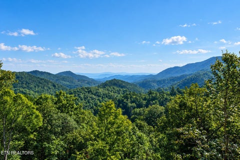 Tiny photo for 523 Percussion Court, Sevierville, TN 37862 (MLS # 1355504)